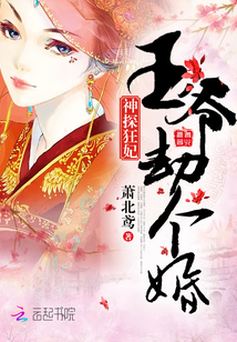 九皇子传
